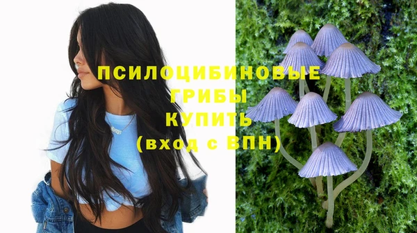 прущие крисы Абдулино