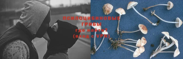 прущие крисы Абдулино