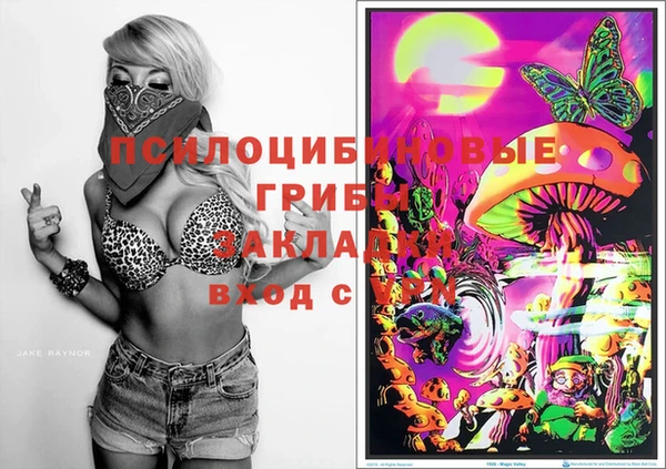 ПСИЛОЦИБИНОВЫЕ ГРИБЫ Алексин